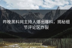 昨晚黑料网主持人爆出爆料，揭秘细节评论区炸裂