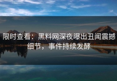 限时查看：黑料网深夜曝出丑闻震撼细节，事件持续发酵