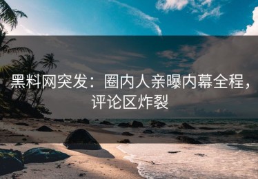 黑料网突发：圈内人亲曝内幕全程，评论区炸裂