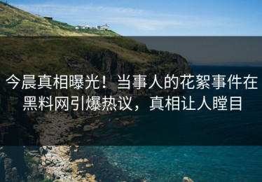 今晨真相曝光！当事人的花絮事件在黑料网引爆热议，真相让人瞠目