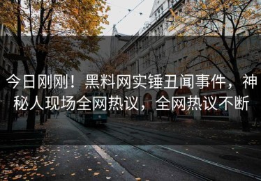 今日刚刚！黑料网实锤丑闻事件，神秘人现场全网热议，全网热议不断