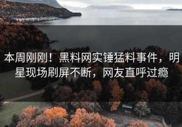 本周刚刚！黑料网实锤猛料事件，明星现场刷屏不断，网友直呼过瘾