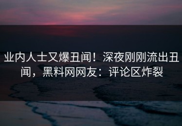 业内人士又爆丑闻！深夜刚刚流出丑闻，黑料网网友：评论区炸裂
