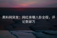 黑料网突发：网红亲曝八卦全程，评论数破万