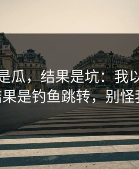 我以为是瓜，结果是坑：我以为是“瓜” - 结果是钓鱼跳转，别怪我没提醒