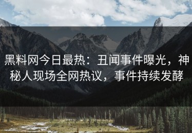 黑料网今日最热：丑闻事件曝光，神秘人现场全网热议，事件持续发酵