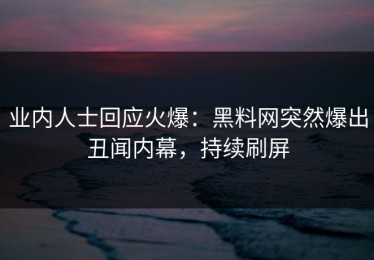 业内人士回应火爆：黑料网突然爆出丑闻内幕，持续刷屏