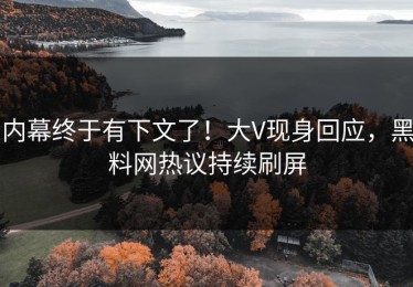 内幕终于有下文了！大V现身回应，黑料网热议持续刷屏