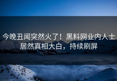 今晚丑闻突然火了！黑料网业内人士居然真相大白，持续刷屏
