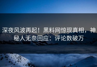 深夜风波再起！黑料网惊现真相，神秘人无奈回应：评论数破万