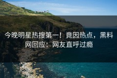 今晚明星热搜第一！竟因热点，黑料网回应：网友直呼过瘾