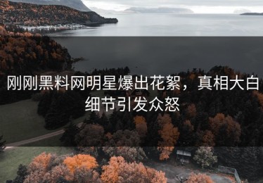 刚刚黑料网明星爆出花絮，真相大白细节引发众怒
