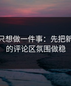 如果你只想做一件事：先把新91视频的评论区氛围做稳