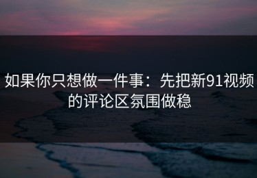 如果你只想做一件事：先把新91视频的评论区氛围做稳