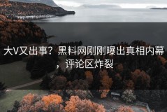 大V又出事？黑料网刚刚曝出真相内幕，评论区炸裂
