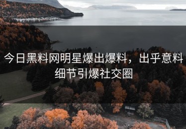 今日黑料网明星爆出爆料，出乎意料细节引爆社交圈