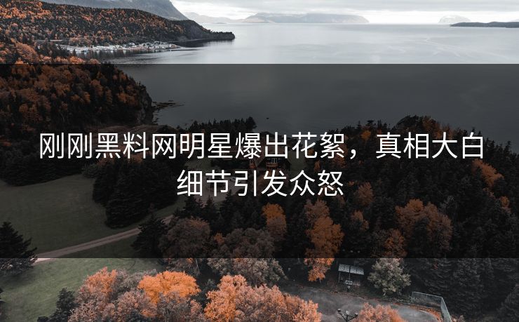 刚刚黑料网明星爆出花絮，真相大白细节引发众怒