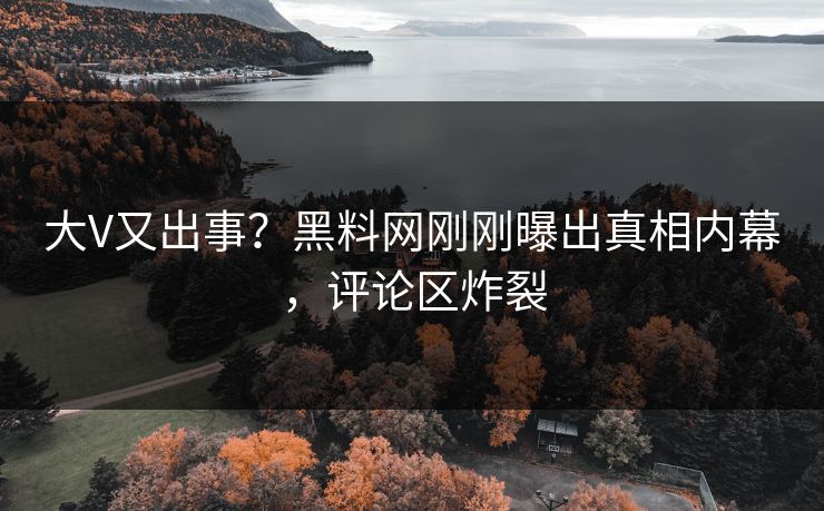 大V又出事？黑料网刚刚曝出真相内幕，评论区炸裂